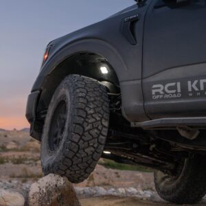 Stage Series RGBW LED Rock Light (4-pack)